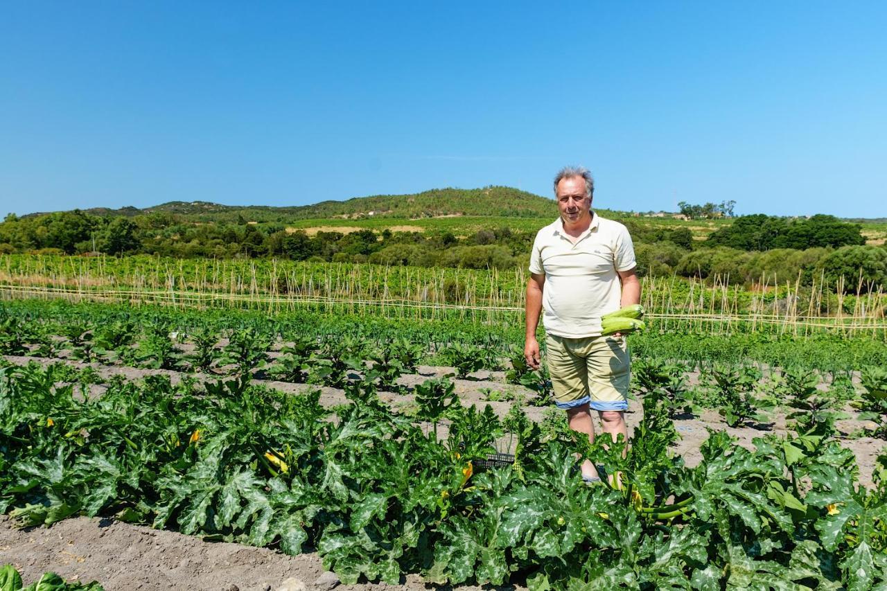 Agriturismo Lu Nodu Villa Greuli Eksteriør billede